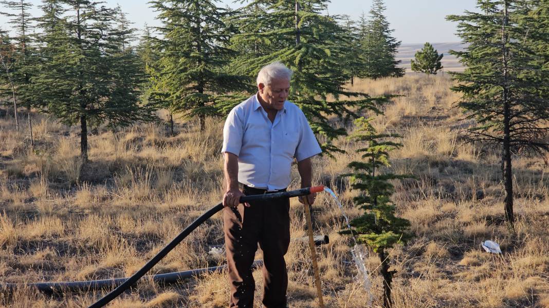 Makas kesme parasıyla ağaç aldı, Konya’da bozkırı ormana çevirdi 5